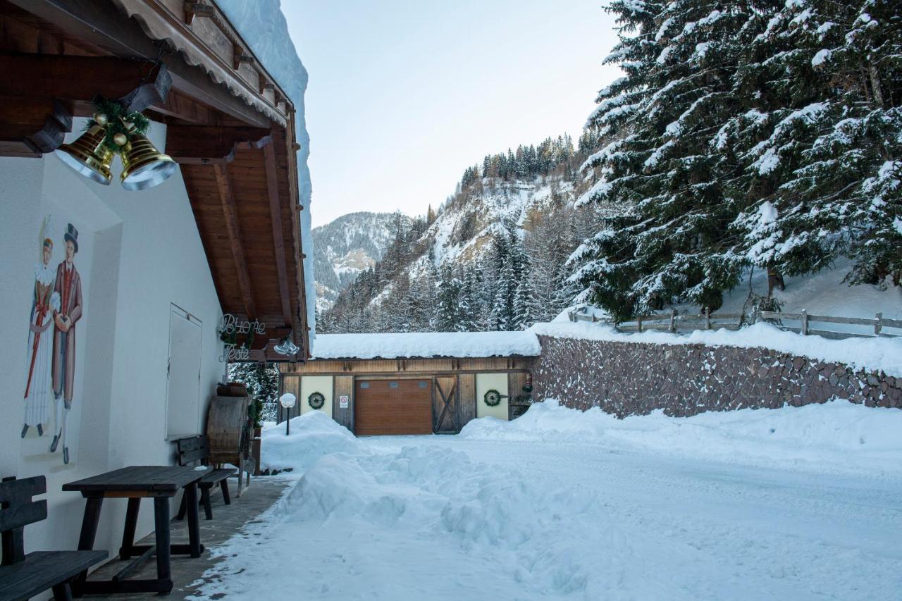 Chalet Alpina Ортизей Екстериор снимка
